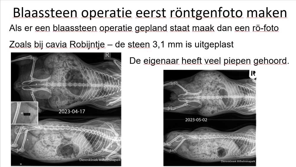 Steen van 3,1 mm is uitgeplast